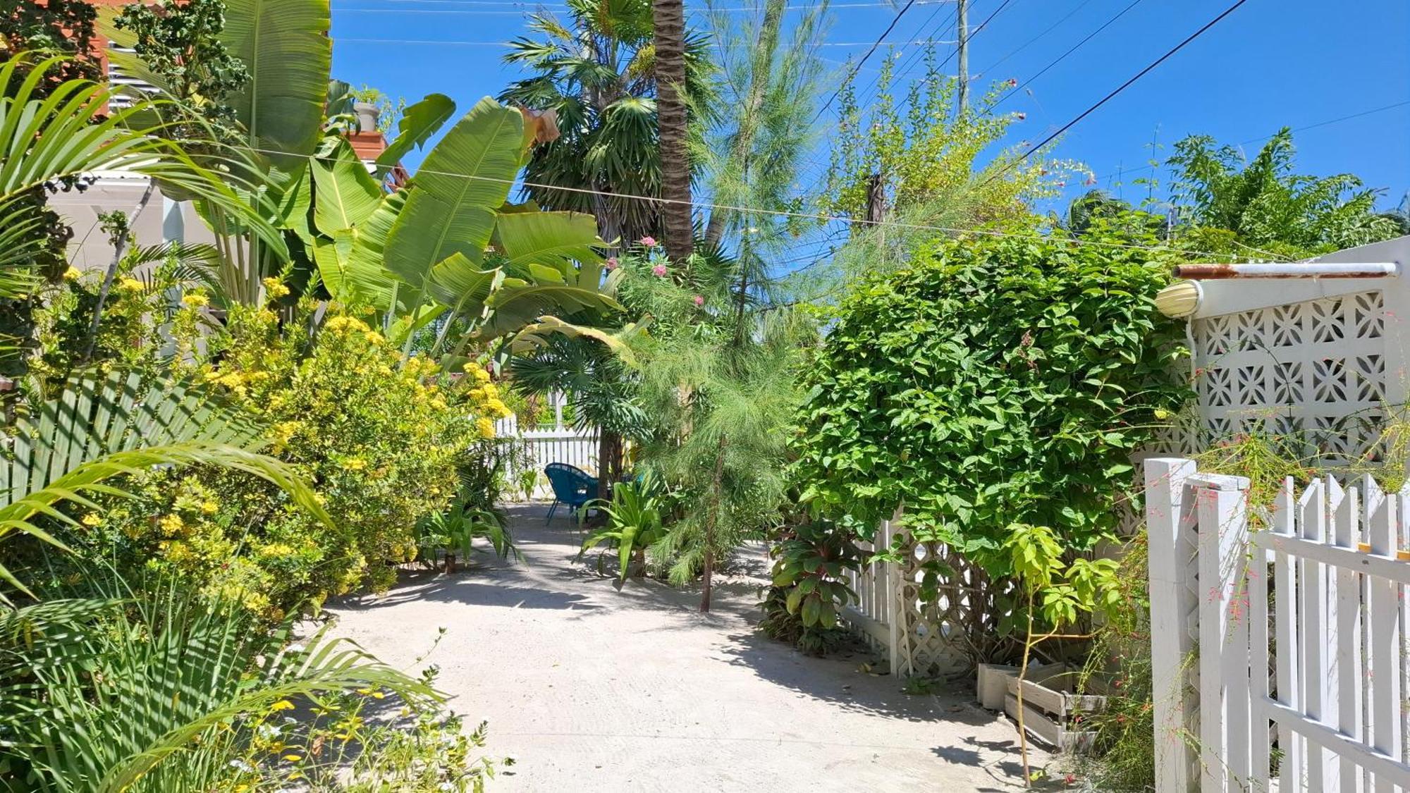 Amanda'S Place Green Studio - Pool And Tropical Garden Caye Caulker Exterior foto