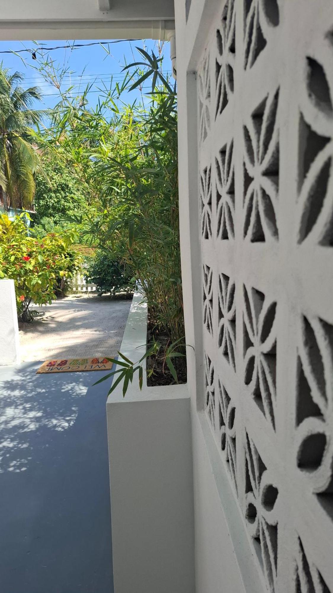 Amanda'S Place Green Studio - Pool And Tropical Garden Caye Caulker Exterior foto